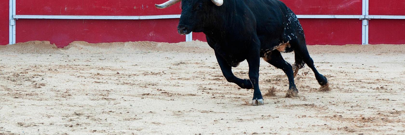 Plaza de toros de Murcia